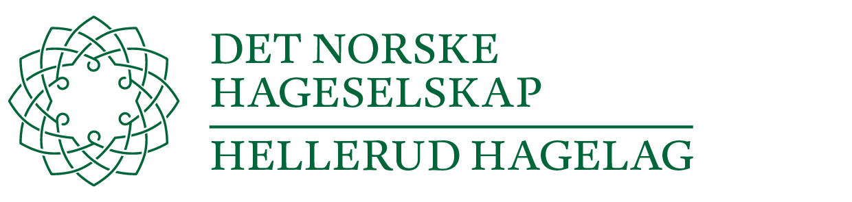 HS_logo_h_hellerud_word