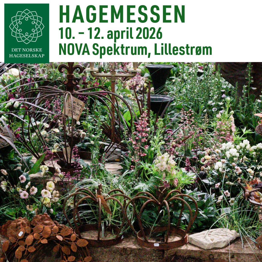 Hagemessen 1